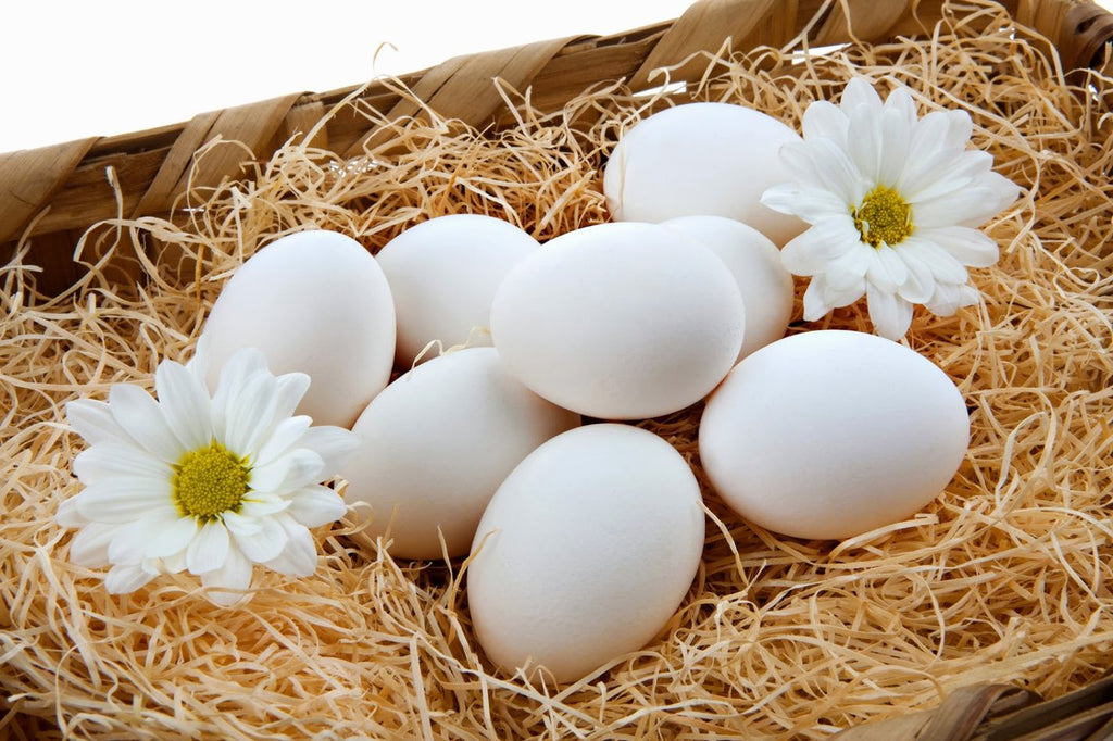 Useful properties of eggs for the body!